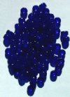 100, 4x6mm Transparent Cobalt Glass Crow Beads